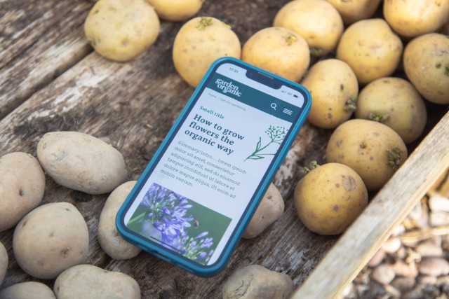 An article from Garden Organic on a mobile screen. The mobile is placed in a wooden box of potatoes