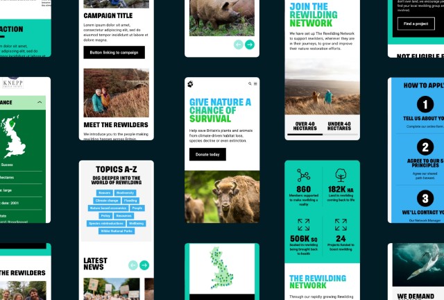 A group of mobile mockups from different pages of the Rewilding Britain website